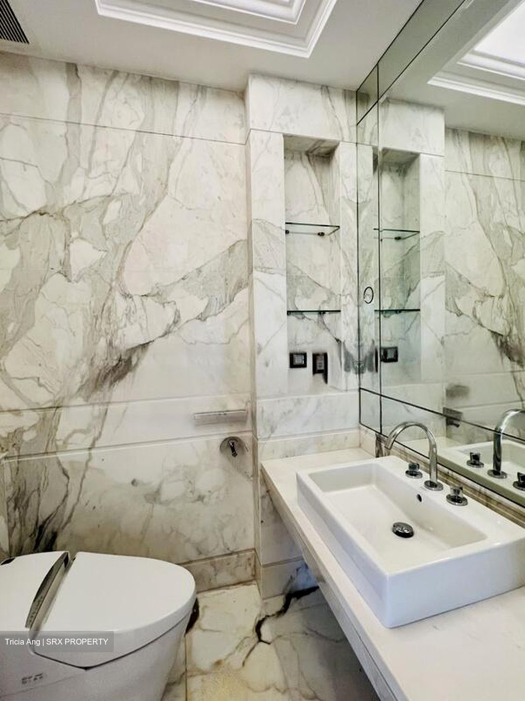 Parkview Eclat (D10), Condominium #468365571